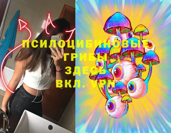 винт Богданович